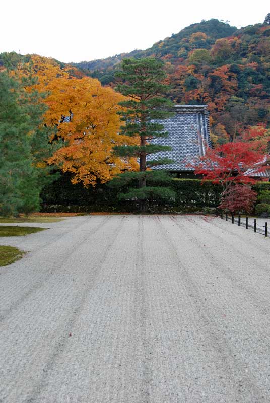 Karesansui of Tenryu-ji