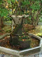 Moss-covered fountain