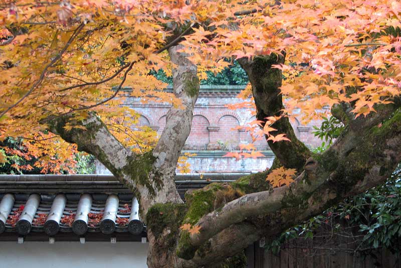 Suirokaku and autumn leaves