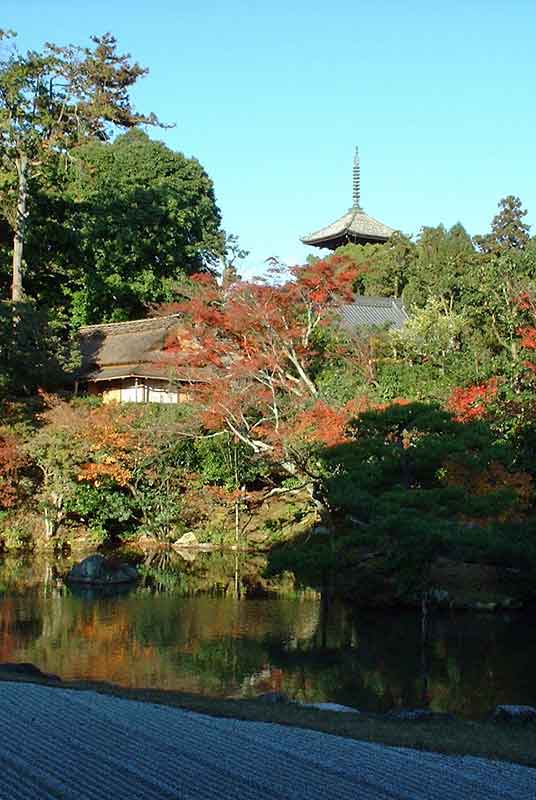 pagoda and garden of ninna-ji