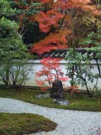 The karesansui garden and autumn leaves