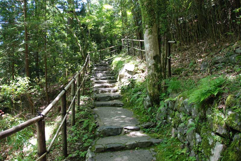 Stone steps of the rear approach to Kozan-ji